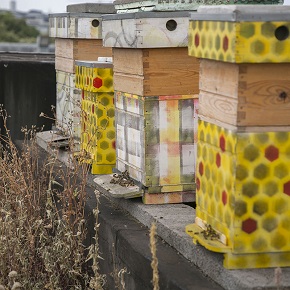 Journe mondiale des abeilles au Snat