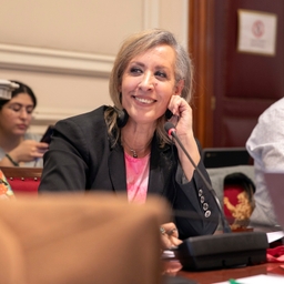 3 résolutions discutées en commission