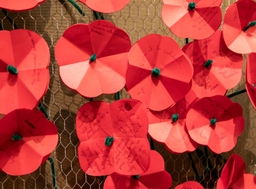 Commémoration de l’Armistice au Parlement fédéral