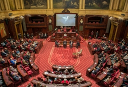 Herdenking van de Wapenstilstand in het Federaal Parlement