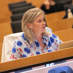 Échange de vues avec le premier ministre sur des réunions du Conseil européen