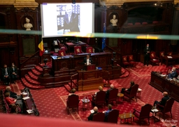 Inauguration du portrait de Monsieur Jacques Brotchi, ancien président du Sénat