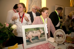 Koningsfeest in het Federaal Parlement