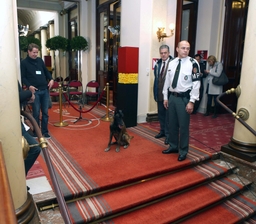 Koningsfeest in het federale parlement:  “Actief ouder worden en Solidariteit tussen de generaties”