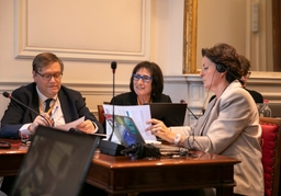 3 résolutions discutées en commission