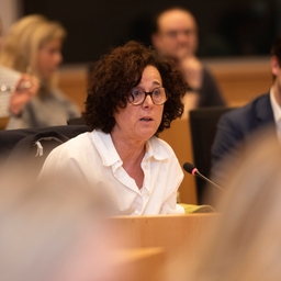 Échange de vues avec le premier ministre sur le Conseil européen