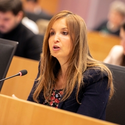 Échange de vues avec le premier ministre sur des réunions du Conseil européen