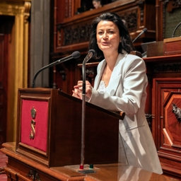 Résolution sur le cancer du sein adoptée
