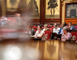 Séance plénière du 20 juin 2025