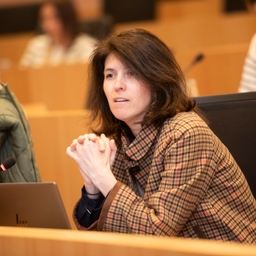 Le rapport annuel 2024 de la Cour des comptes européenne sur le budget de l’UE