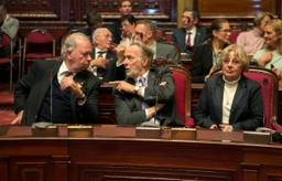 Herdenking van de Wapenstilstand in het Federaal Parlement