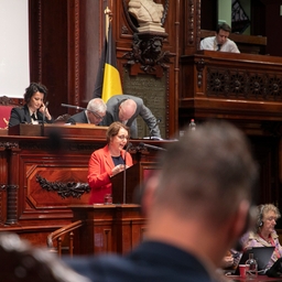 Le Sénat vote sur le projet de déclaration de révision de la Constitution