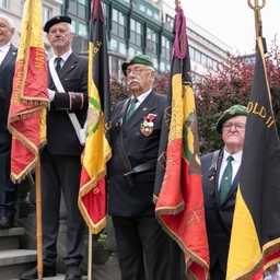 Cérémonie de commémoration du 8 mai