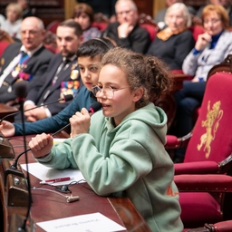 Herdenking van de Wapenstilstand