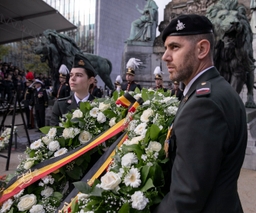 Herdenking van de Wapenstilstand