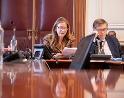 3 résolutions discutées en commission