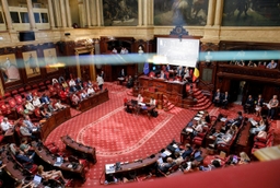 Séance plénière du 20 juin 2025