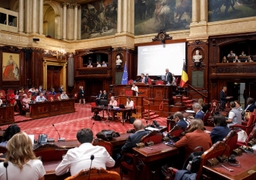 Séance plénière du 20 juin 2025