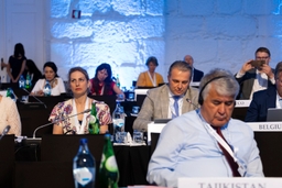 Session annuelle de l'AP-OSCE