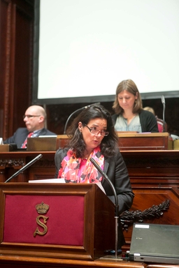 Benelux plenair themadebat