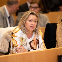 Échange de vues avec le premier ministre sur le Conseil européen