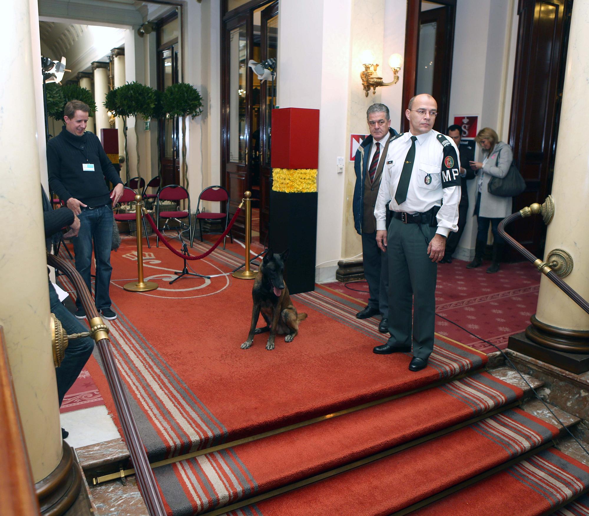  Koningsfeest in het federale parlement:  “Actief ouder worden en Solidariteit tussen de generaties”