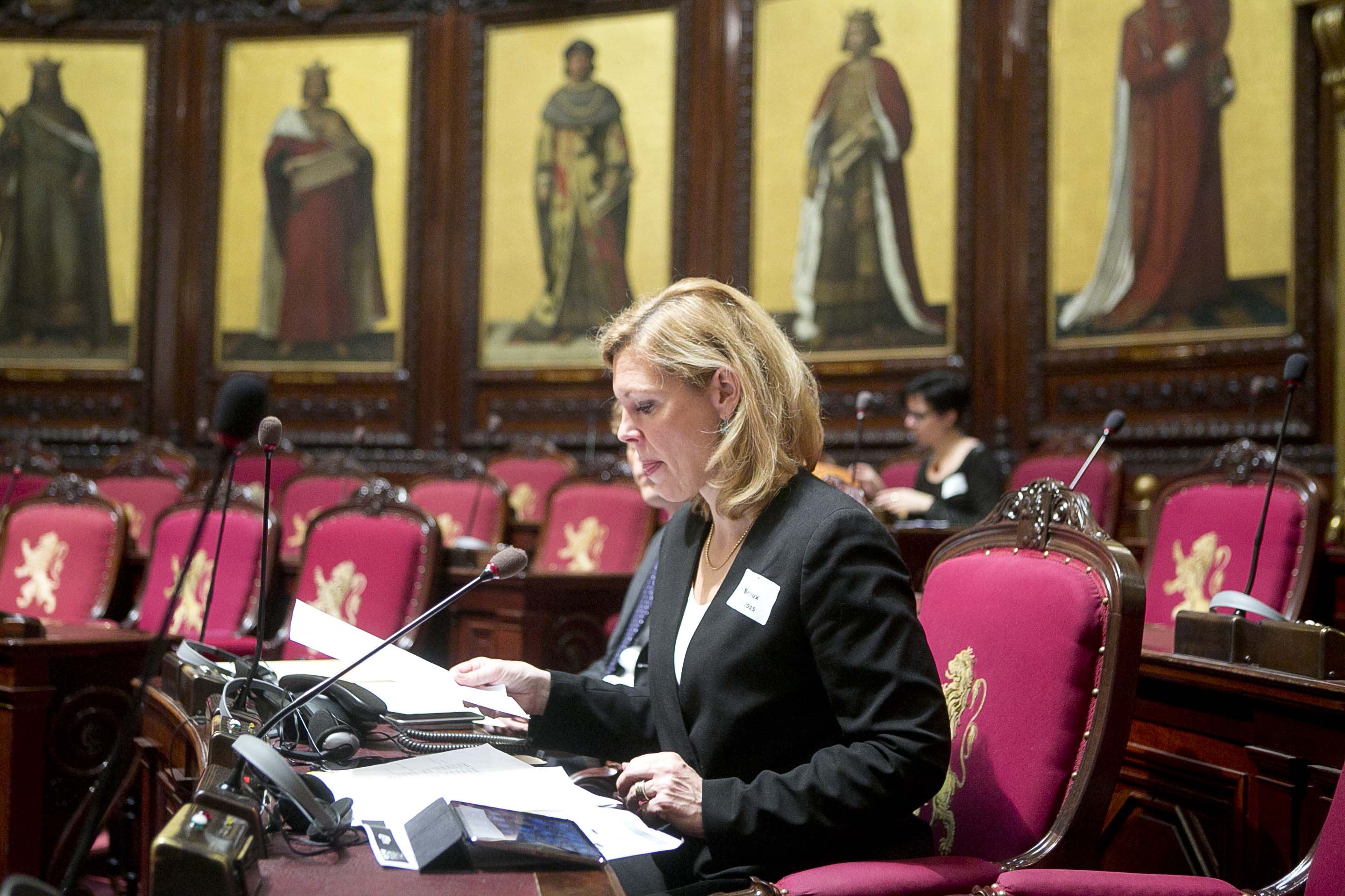  Benelux plenair themadebat