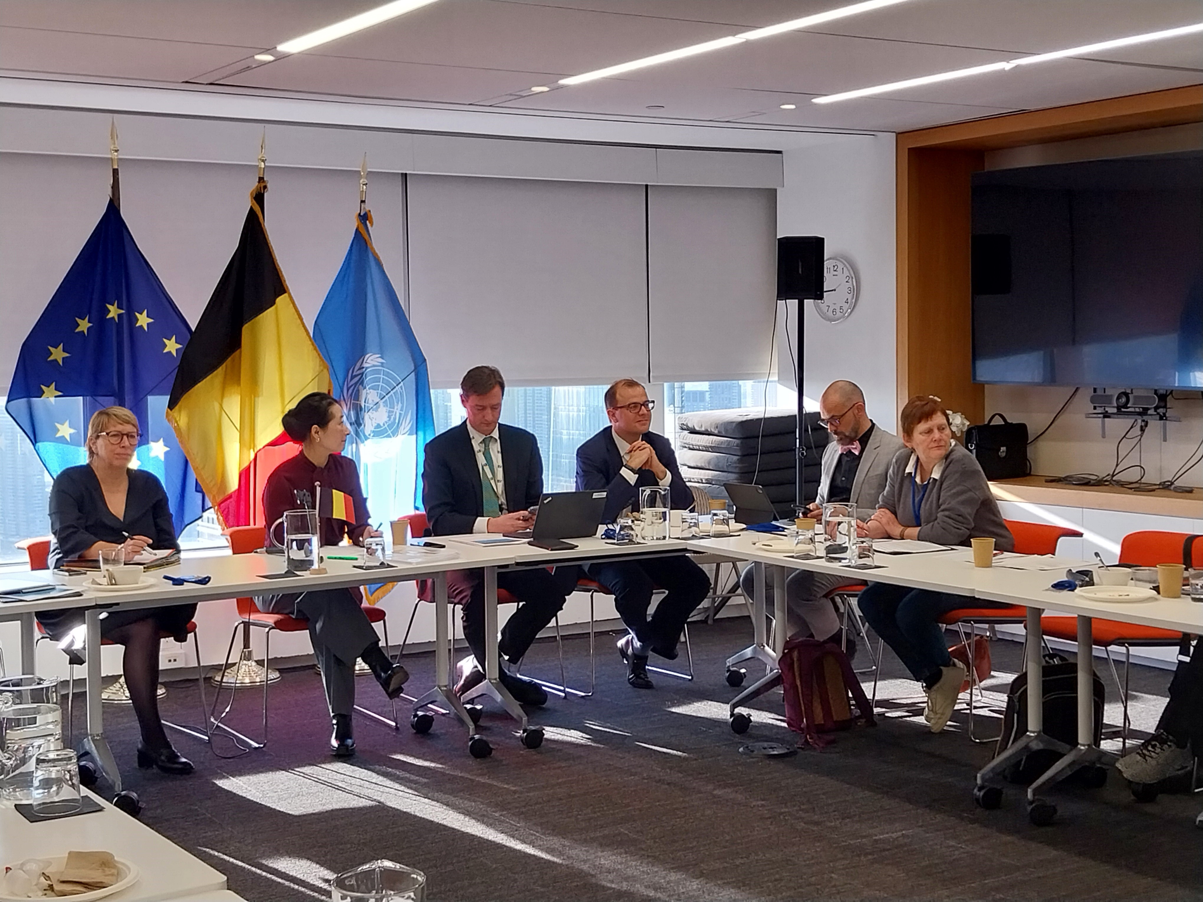  Senator Alice Bernard neemt deel aan de 69ste Commissie voor de Status van de Vrouw (CSW) in New York