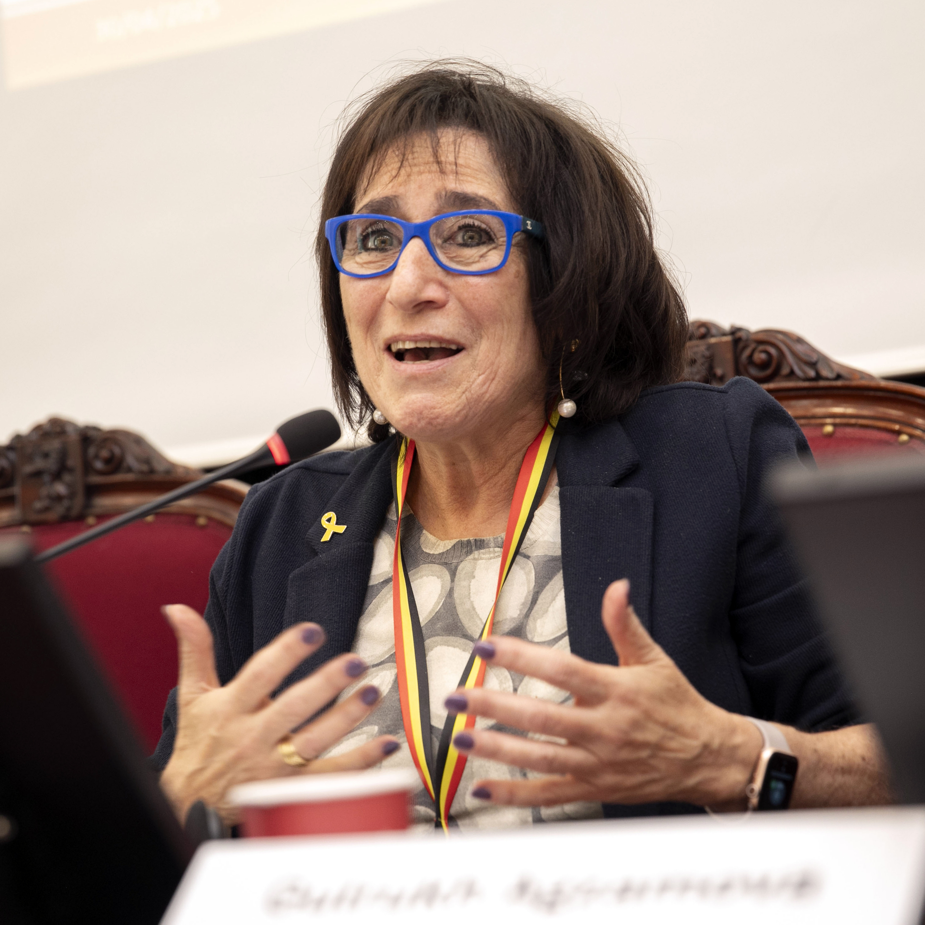 Inter Pares: workshop over genderbewuste parlementen