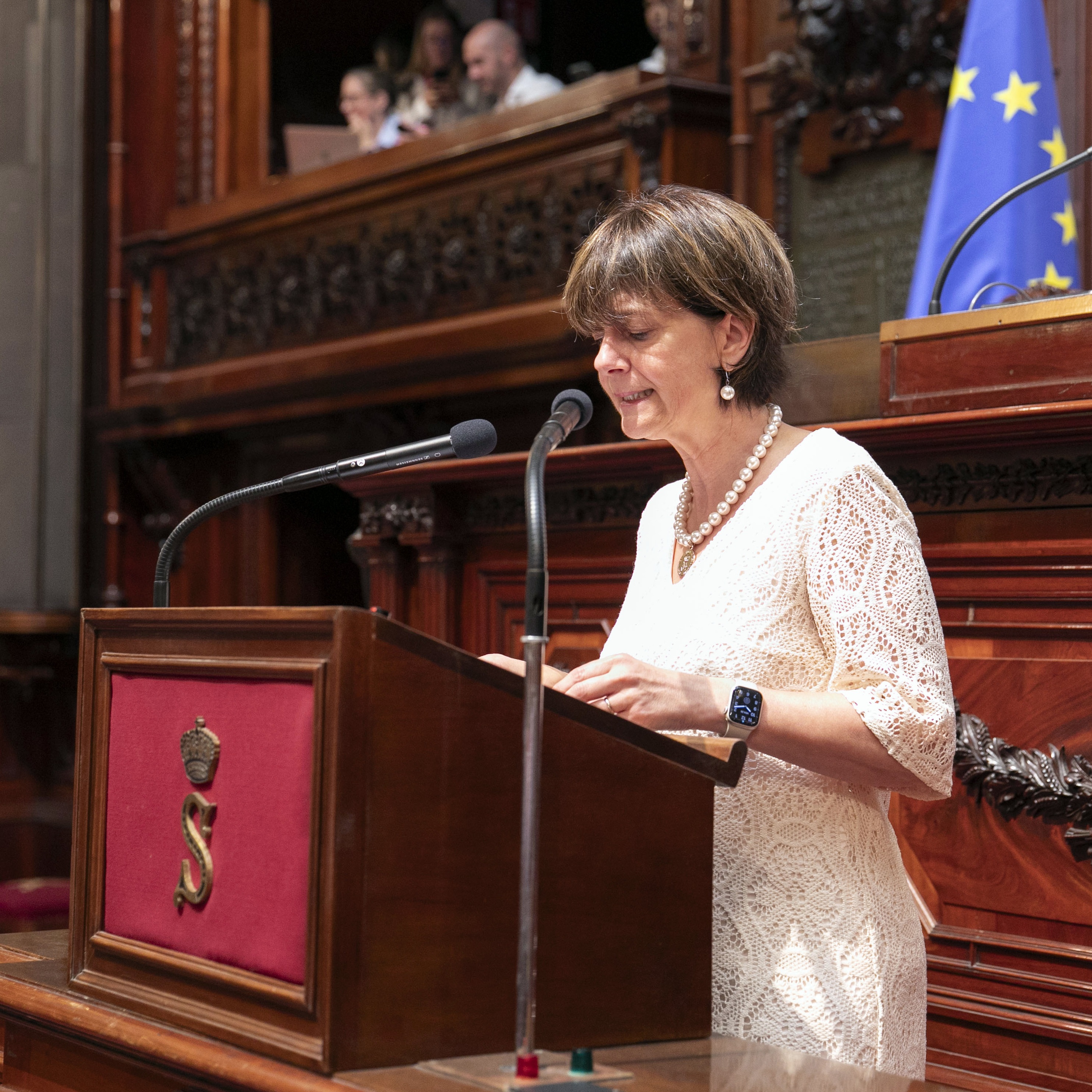  Séance plénière du 20 juin 2025