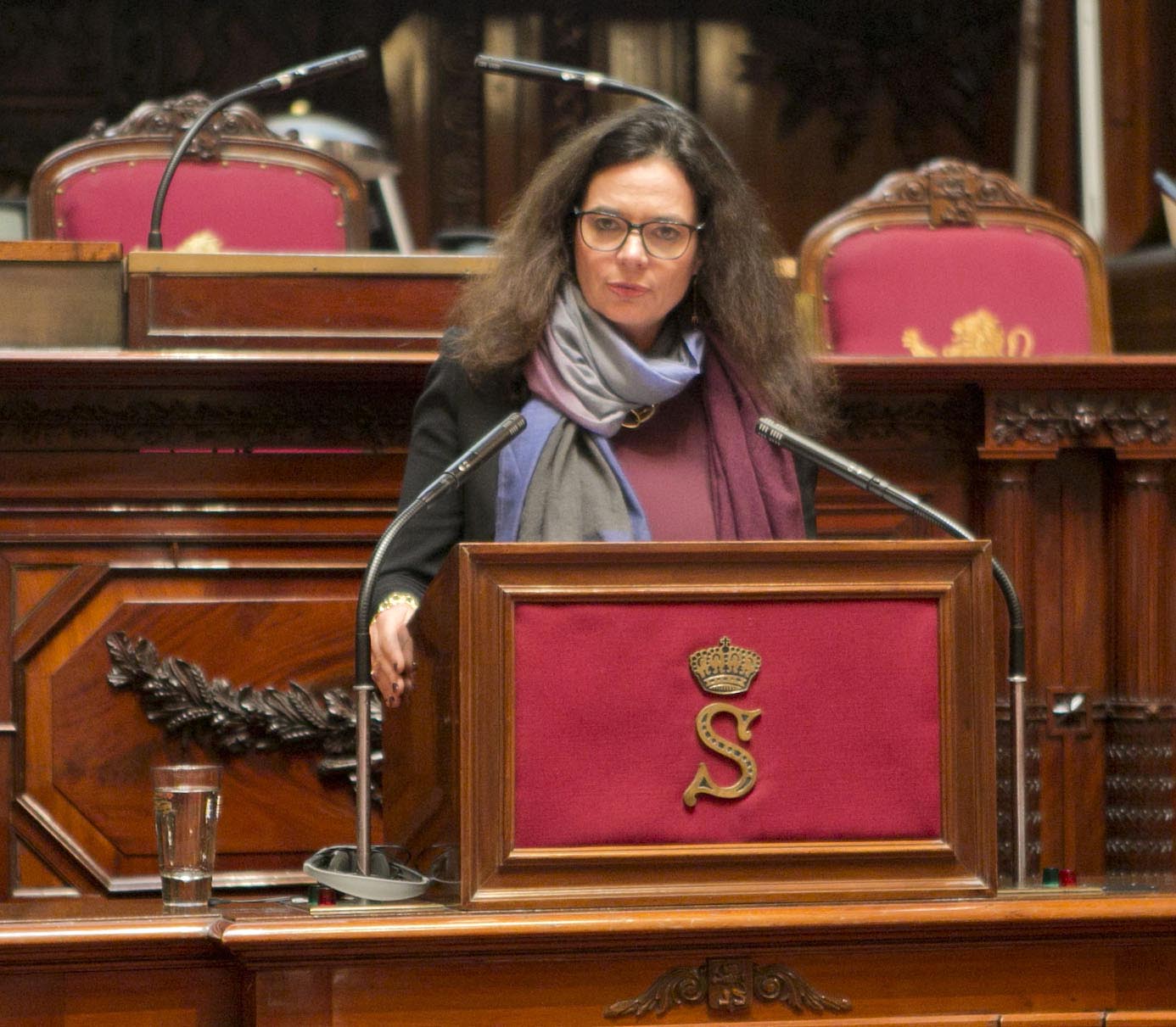  Herdenking van de Wapenstilstand in het Federaal Parlement